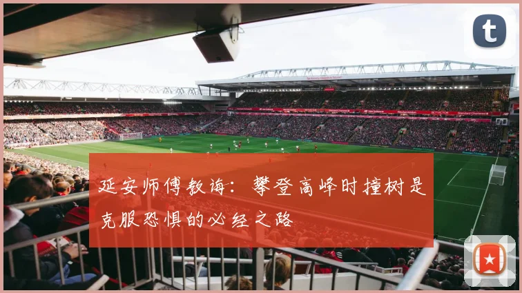 延安师傅教诲：攀登高峰时撞树是克服恐惧的必经之路