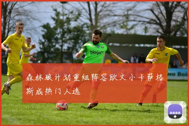 森林狼计划重组阵容欧文小卡萨格斯成热门人选